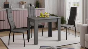 Стол обеденный «Промо» тип 1 Серый графит в Лангепасе - langepas.mebel-tymen.ru | фото