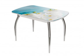 Стол овальный Бостон-2 Белая орхидея, 1100*700 мм, хром триумф в Лангепасе - langepas.mebel-tymen.ru | фото