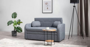 Тео (120) Диван-кровать Danco 995 (серый) арт. ТД 909 в Лангепасе - langepas.mebel-tymen.ru | фото