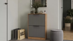 Тумба для обуви «Хилтон» Исп.2 Дуб Крафт золотой, Графит матовый в Лангепасе - langepas.mebel-tymen.ru | фото