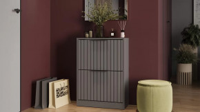 Тумба для обуви «Хилтон» Исп.2 Серый графит, Графит матовый в Лангепасе - langepas.mebel-tymen.ru | фото