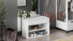 Тумба для обуви «Лайт» Тип 1 Белый глянец в Лангепасе - langepas.mebel-tymen.ru | фото