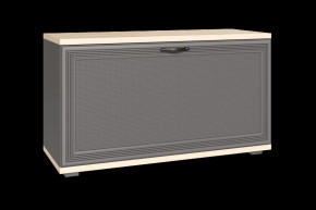 Тумба для обуви ТБ-1041 Карина в Лангепасе - langepas.mebel-tymen.ru | фото