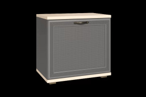 Тумба для обуви ТБ-1042 Карина в Лангепасе - langepas.mebel-tymen.ru | фото