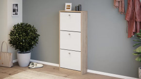 Тумба для обуви «Тетра» Тип 1 Исп. 2 в Лангепасе - langepas.mebel-tymen.ru | фото