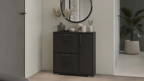 Тумба для обуви Тип 15 Антрацит в Лангепасе - langepas.mebel-tymen.ru | фото