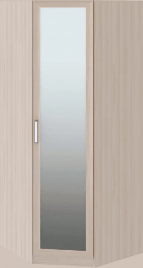 Волкер подростковая М01 Шкаф угловой в Лангепасе - langepas.mebel-tymen.ru | фото